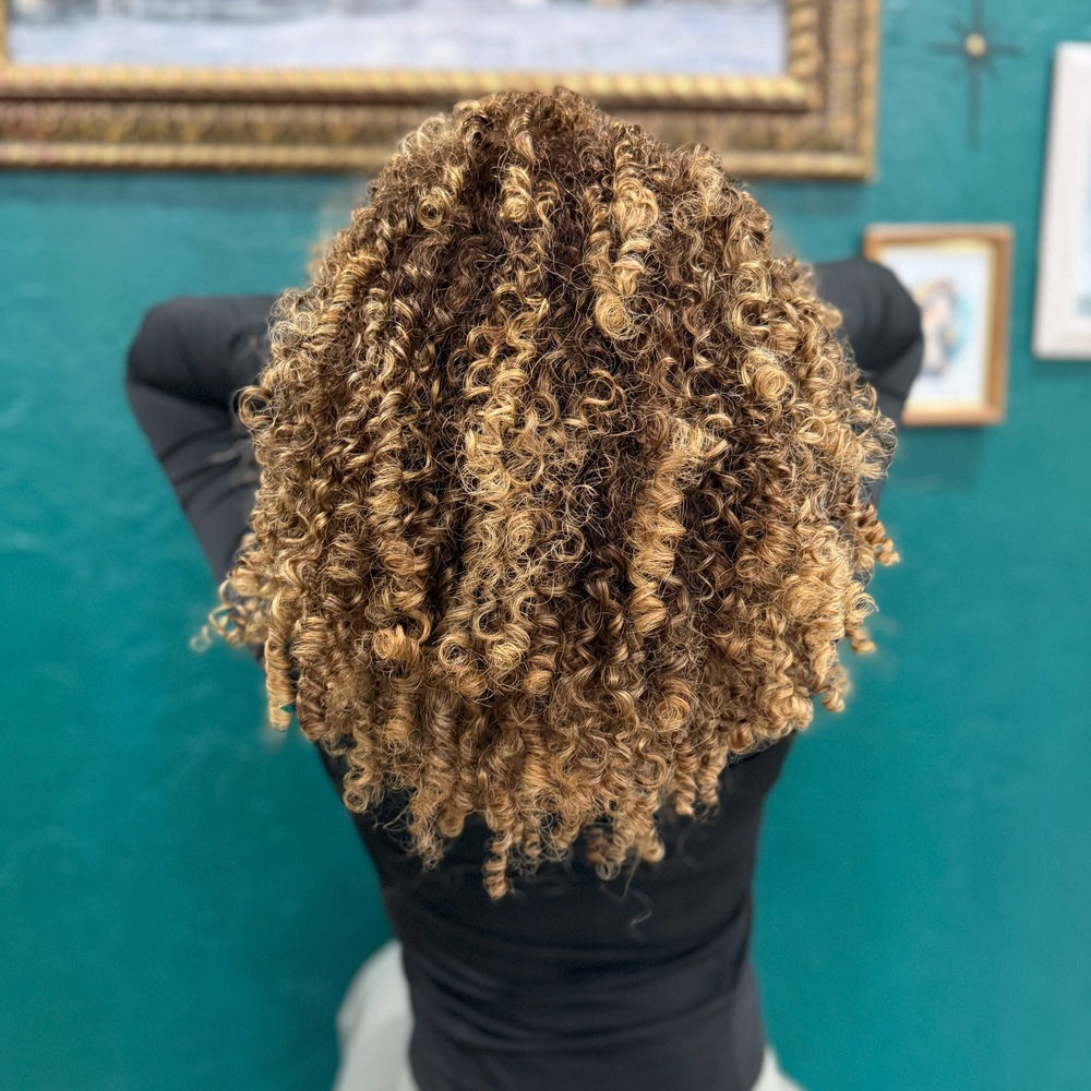 defined curls | anti-frizz routine bundle