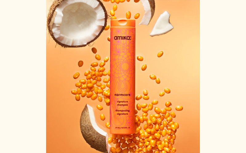 the protector | color protect + strengthen shampoo